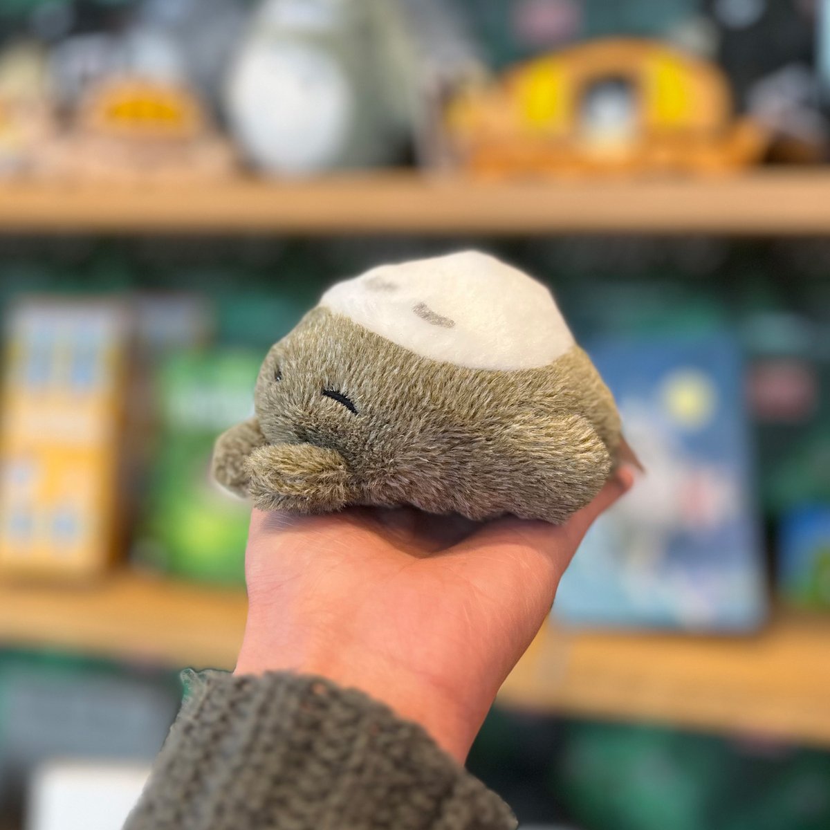 totoro_show's tweet photo. 📢 New merch alert 🌱  

Shop the My Neighbour Totoro collection in @thersc's online store: https://t.co/nftht2Jnzz   

#FindYourSpirit https://t.co/0fqSj5vz9i