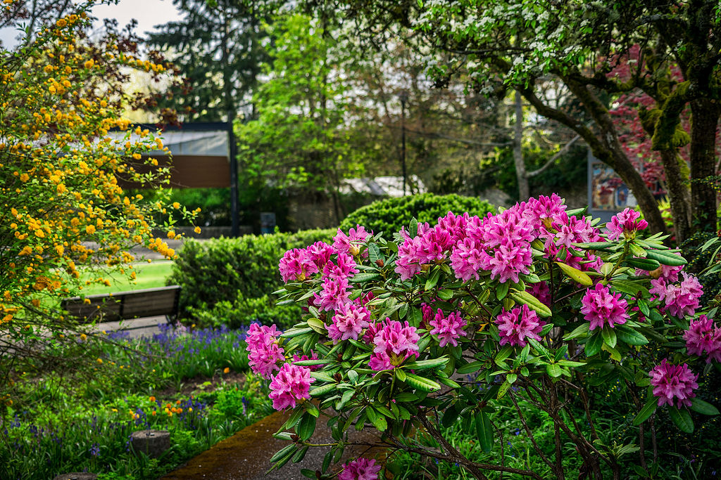 We're set to BLOOM with #community spirit in #Sooke as we get out and explore...

Submit your counts for blooming blossoms: flowercount.com

#FlowerCount #ExploreVictoria #ExploreSooke