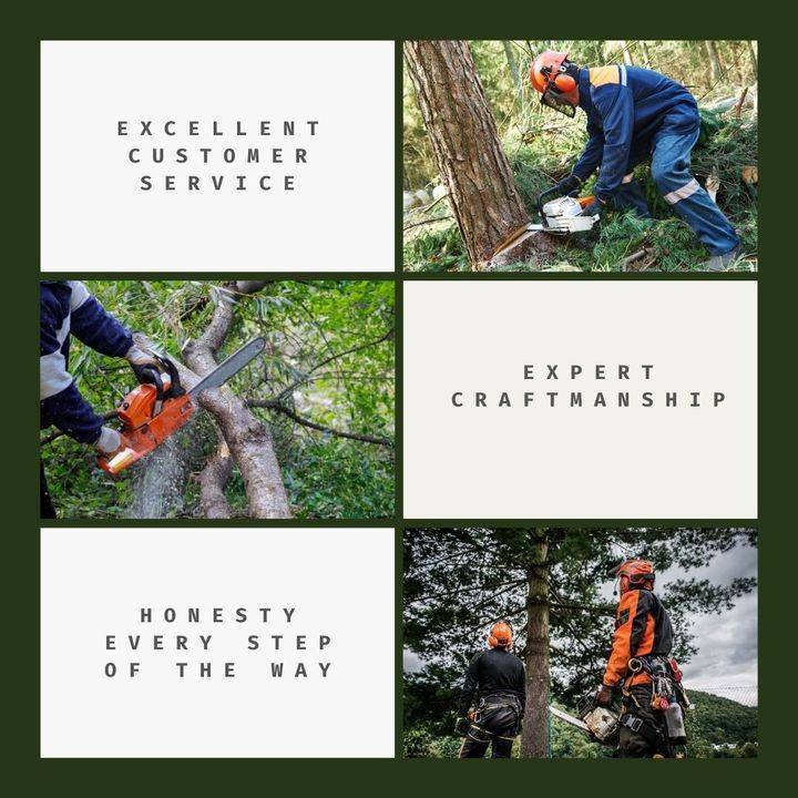 Local and reliable - as members of this community, we take pride in serving our neighbors and delivering exceptional tree services at affordable prices. #Atlanta #TreeSurgery #frogs