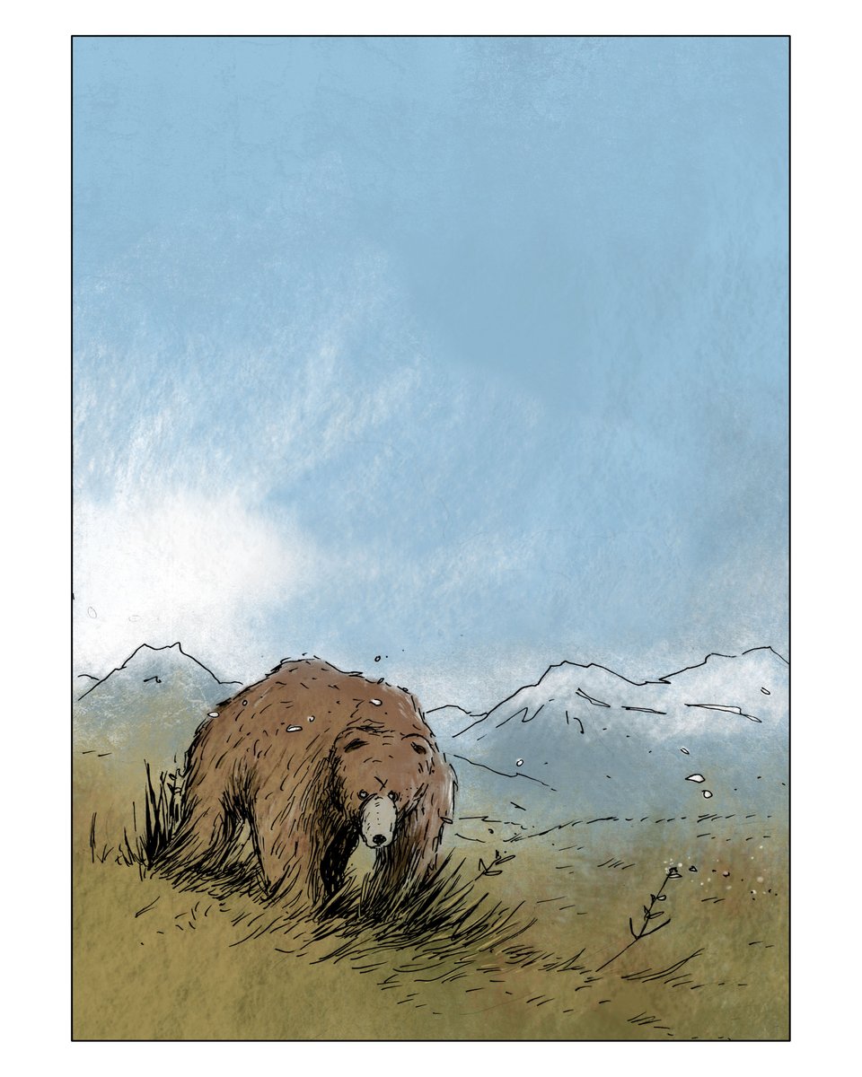 color test for #grizzly #bear oriented #comicbook in progress. #ComicArt #alaskalife #wildlife #bears #bandedessinée #bd #graphicnovelart #graphicnovel #sketcheveryday #drawing #dessin #croquis #sketch #drawing #artoftheday #sketchbook #alaskalife #bearart #sketch