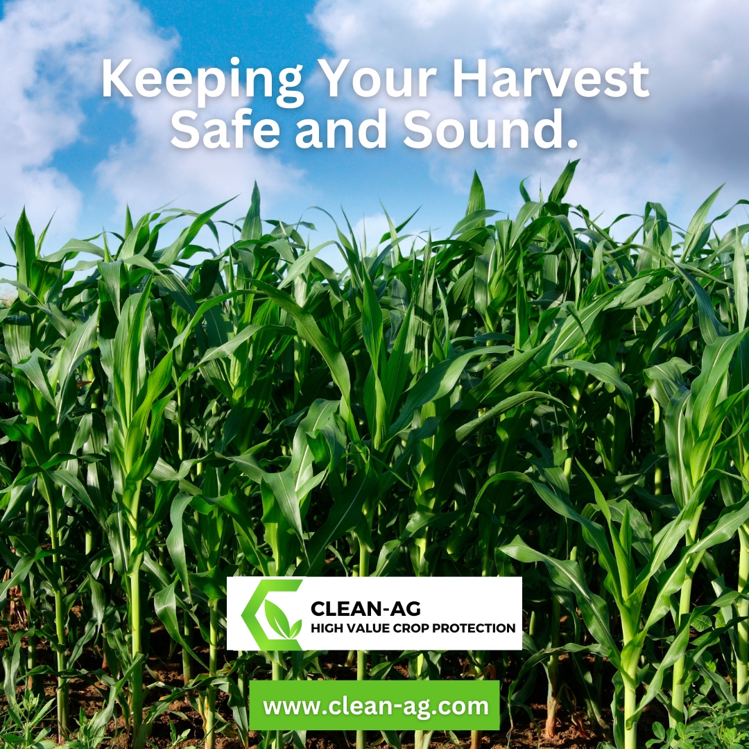 cleanaginc's tweet image. Keeping your harvest safe and sound with Clean-Ag Inc.! 🌾🔒

Our trusted solutions provide a fortress of protection, ensuring your crops reach their full potential without compromise. 🛡️🌱

#HarvestProtection #CropSecurity #CleanAg 

🌐 clean-ag.com