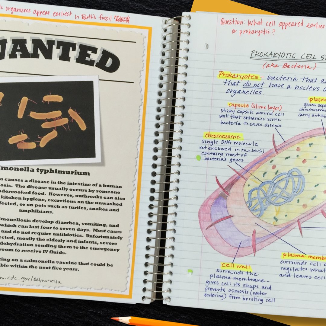 NGS_Education's tweet image. After learning about Prokaryotes, students will choose a pathogen from an included list or will be able to research one they chose to make a Wanted Poster of the "culprit".
teacherspayteachers.com/Product/Cell-S…
#interactivenotebooks #middleschoolscience #iteachscience #scienceclass
