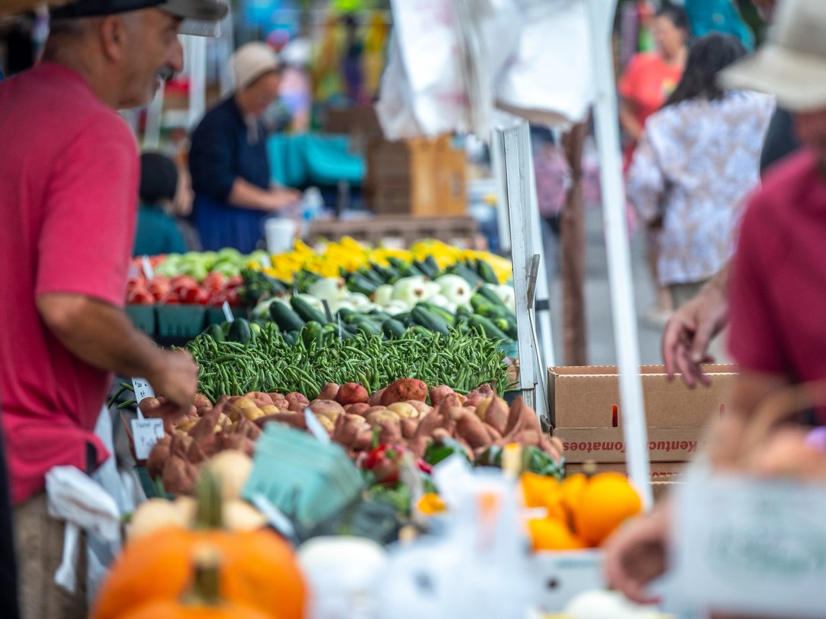 KentuckyTourism's tweet photo. Day two of the @murraykentucky takeover! Explore the downtown small businesses like 📚  @BolinBooks and Main Street Market. Experience local culture at the region's largest Kentucky Proud certified market offering home-grown produce and crafts. 
https://t.co/K2G5VeB1tQ https://t.co/gFR4bdLhy3