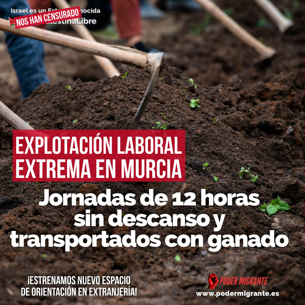 🍅 Agricultores protestan por sus condiciones, pero callan ante la explotación de sus trabajadores. ¿Doble moral en el campo murciano? Es hora de exigir dignidad laboral para todos. No más abusos amparados en la precariedad. #AgriculturaÉtica #Murcia

podermigrante.es/2024/03/06/exp…