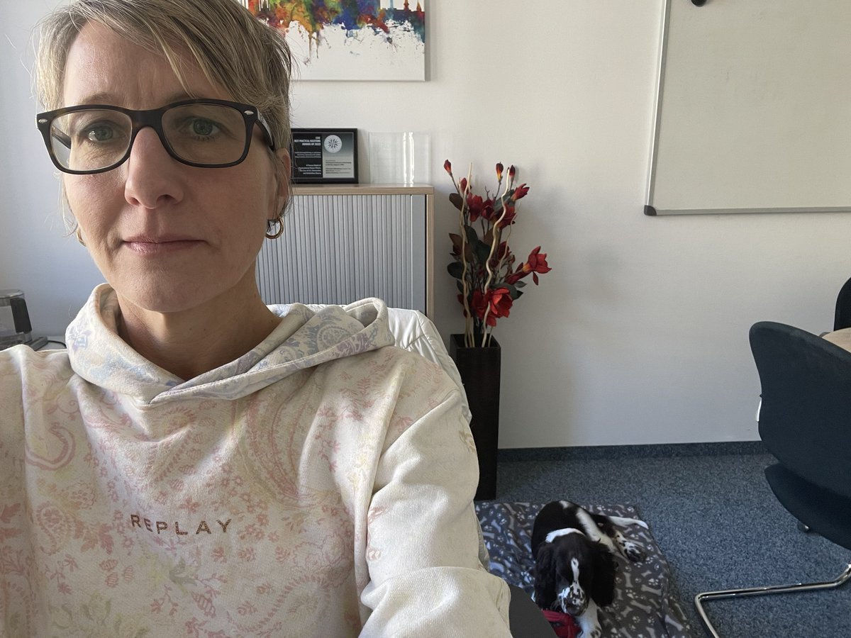 Made my short office visit more entertaining. #dogsatwork