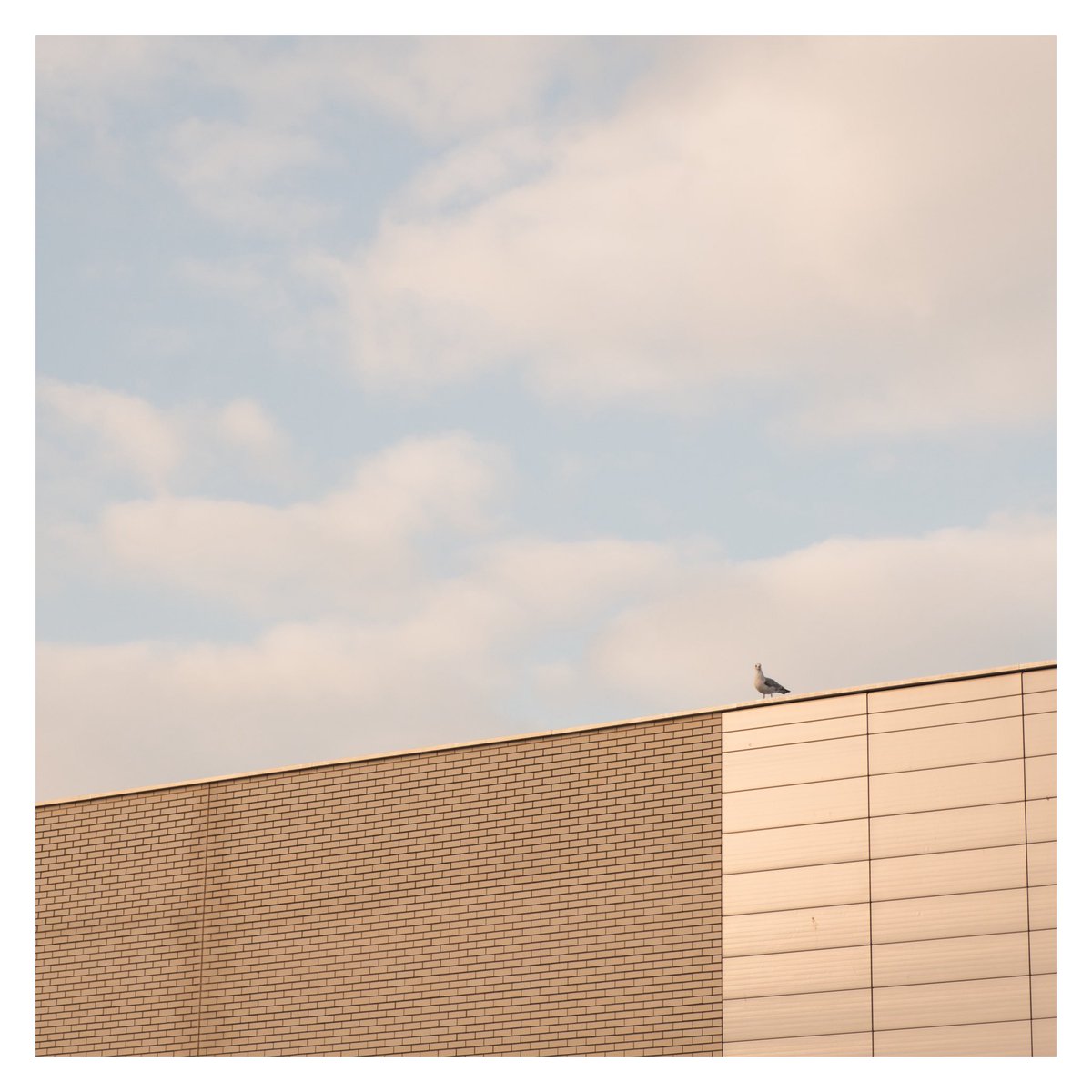 tppictures3's tweet photo. Sometimes when life gets complicated you need to look for simplicity.
#minimalist #simple #minimalist #photography #newbrighton #ukcoast #britishseaside #coastalliving #simpleshades #learntosee https://t.co/ATdYMpmjWz