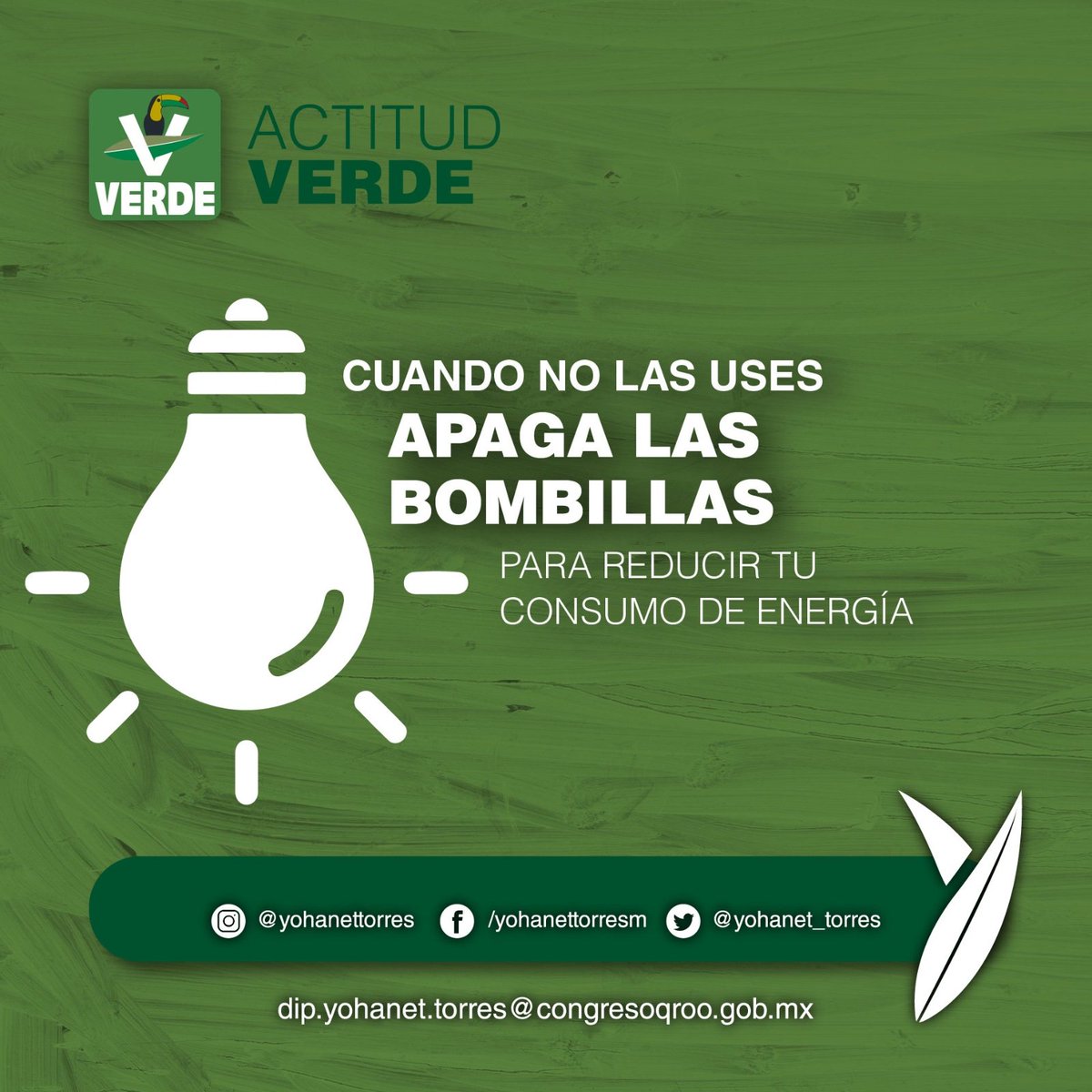 yohanet_torres's tweet image. #TipVerde @quintanaroopvem