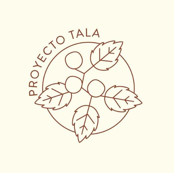 LinggoHQ's tweet photo. Queria contarles sobre los talares y su restauracion, pero Natalia y Cecilia son verdaderas protagonistas y lo cuentan mucho mejor.
   
Miren que lindo proyecto: https://t.co/DQrfSIGmtK…

@somos_restaura
@SLT_Divulgacion https://t.co/DNuC7S3sgs