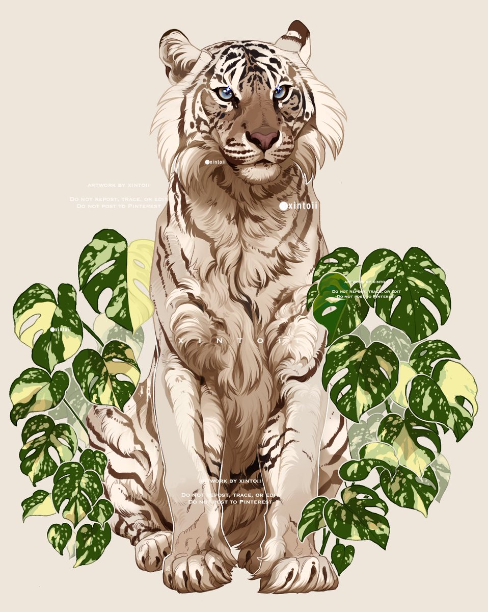 no humans tiger animal focus blue eyes watermark looking at viewer plant  illustration images