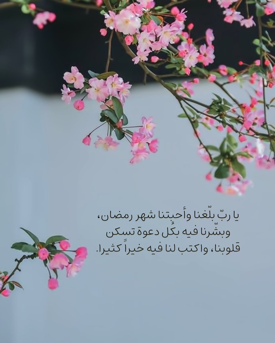 #رمضان 

اللهم بلغنا سماع صوت التراويح ؛ ودعوات المصلين وختم القرآن الكريم اللهم بلغنا شهر رمضان ونحن ومن نحب في أحسن حال🌙