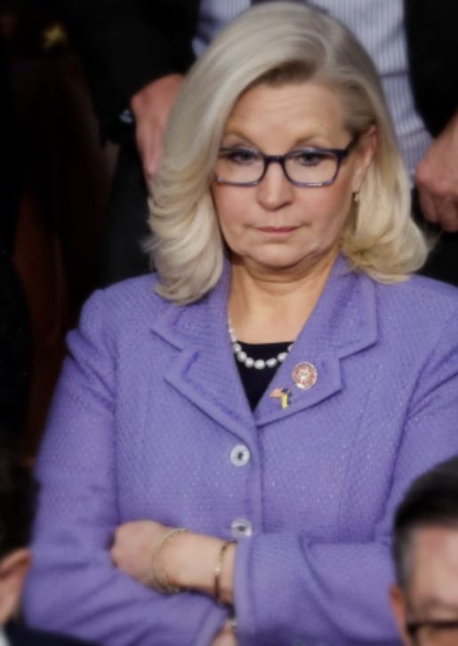 LeftyWinter's tweet photo. “we have eight months to save our Republic &amp; ensure Donald Trump  is never anywhere near the Oval Office again” 

Do you stand with Liz Cheney ? https://t.co/1nX0nPSfbl