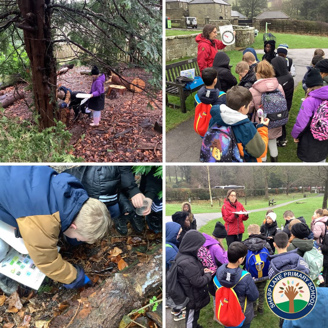 SharpLaneLeeds's tweet photo. Some more pictures from our Year 4 residential to Whitby ποΈ
#SchoolTrip #Whitby #Residential #LeedsLearning #AdventureAwaits #SharpLaneSchool https://t.co/2lQspBgEVO