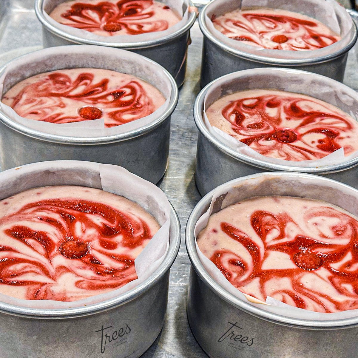 Have you ever seen one of our cheesecakes fresh out of the oven? 🍰

Look at these beautiful desserts that our kitchen team prepared today. And you know what the best part is? We send them fresh to our stores every day. 🥰