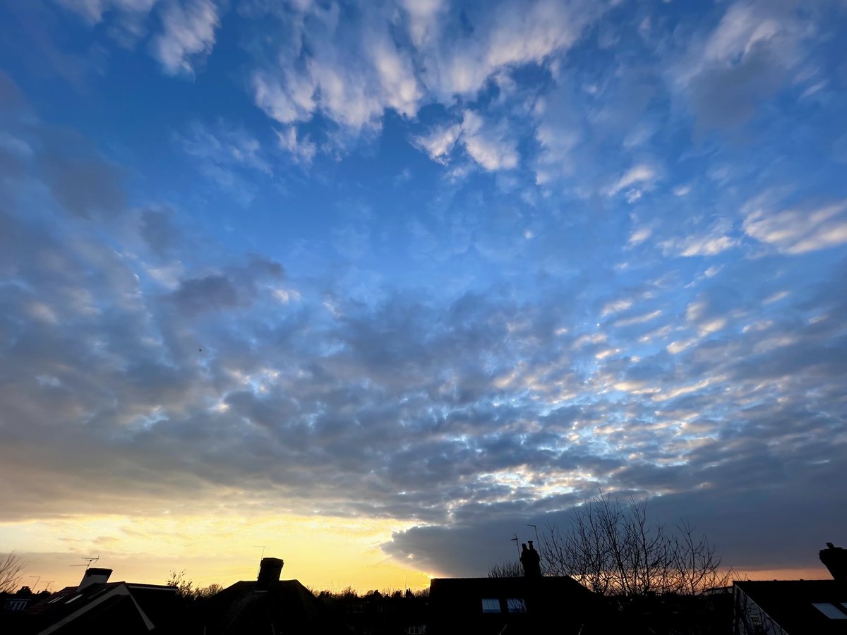 Jim Pickard 🐋 tweet media