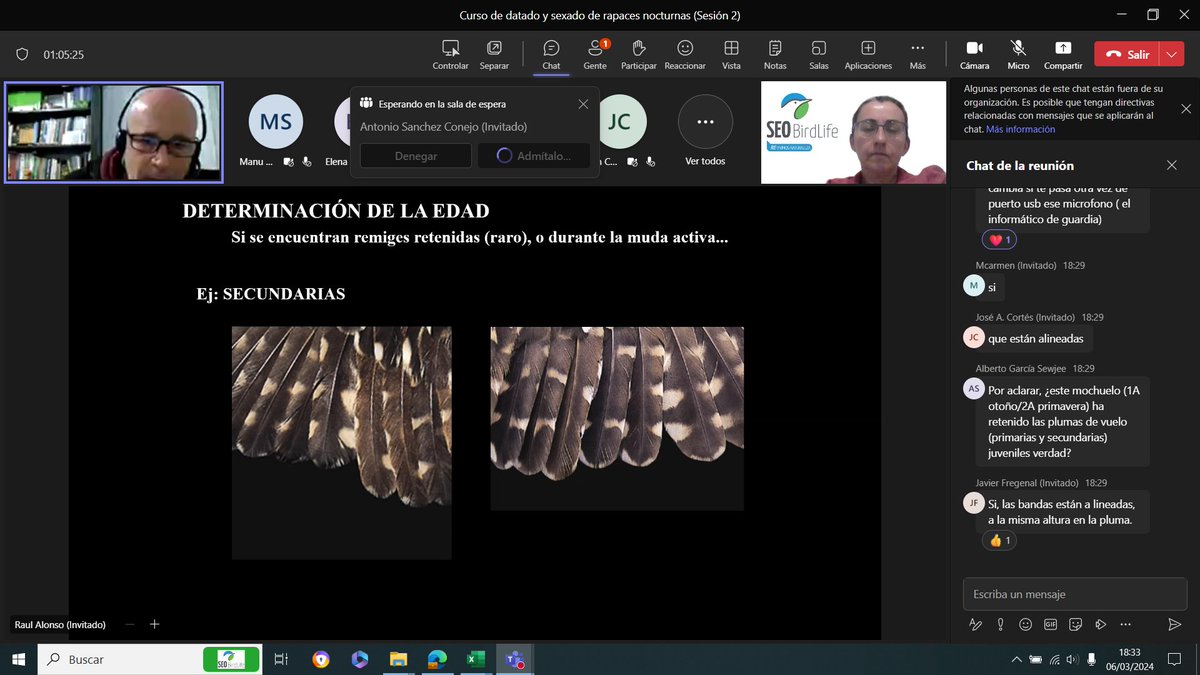 Anillamiento_SEO tweet media