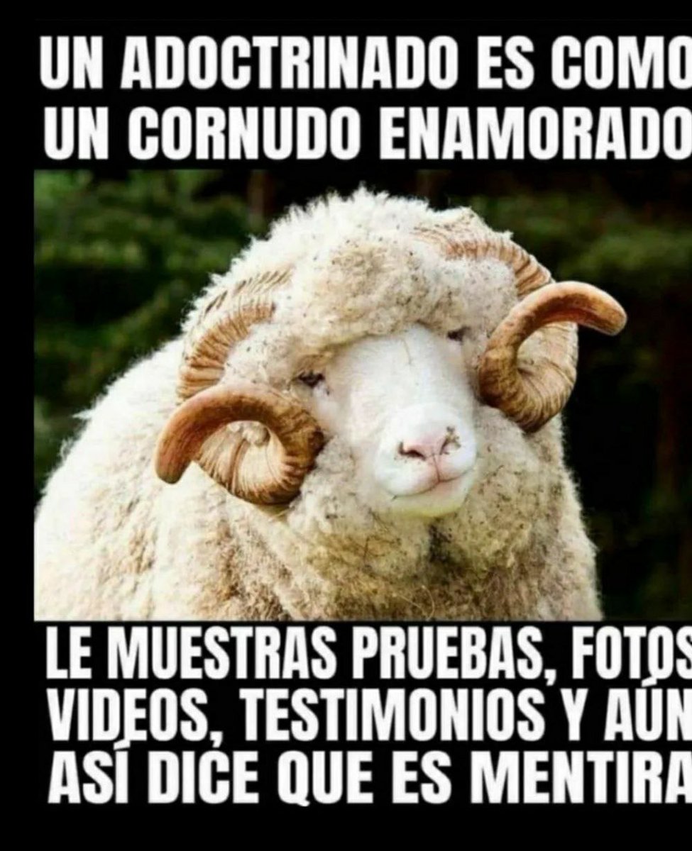 Tu amigo y vecino SantoJuo tweet media