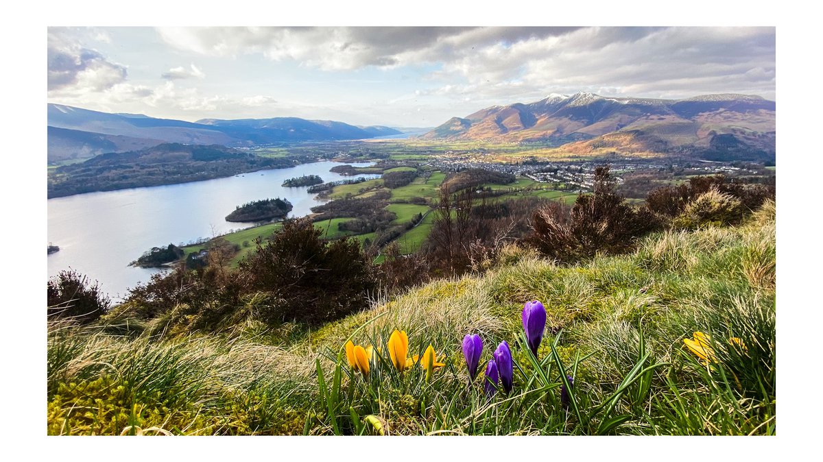 Sunnysidegh's tweet photo. A busy day at Sunnyside, room turnarounds and a great networking event with @VisitKeswick but just managed to get out for a couple of hours with Lillie to enjoy the best of the sunshine 😊 https://t.co/7dcAbOCooe