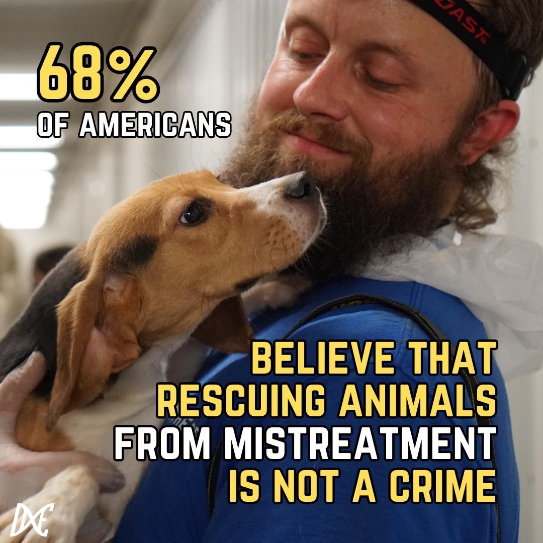 DxEverywhere's tweet photo. Americans don’t want to see prosecutors use their resources to put animal rescuers in prison. Recent polling data showed that over two thirds of Americans do not believe it should be a crime “to take an animal out of an environment where they are being mistreated.” 73% of Americans agreed that “Animals deserve rights, including the right to shelter, food, water and humane treatment. If these rights are violated, people should intervene.”

Currently, prosecutors in Wisconsin are working to put three animal rescuers in prison for rescuing dogs from Ridglan Farms, a laboratory breeding facility. They go to trial in less than 2 weeks. 69% of Americans indicated that they do not believe that it should be a crime to remove dogs from cages inside of a facility that is breeding them for experimentation. 

Prosecutors in Sonoma County, California are currently trying to charge a DxE animal rescuer for saving four chickens from a transport truck at a Perdue slaughterhouse. 65% of Americans indicated they do not believe rescuing chickens from a transport truck should be a crime.

What do you think? Let us know and show your support at https://t.co/iRcUf3lo02 #RightToRescue #RidglanTrial