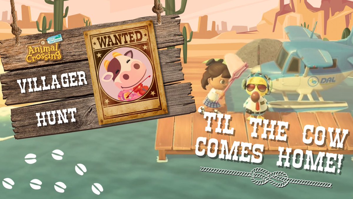 pocketoffish's tweet photo. searching for tipper yet again 🐄

#acnh #villagerhunt 
https://t.co/EqSSmhoko6 https://t.co/nYw0muxWrB