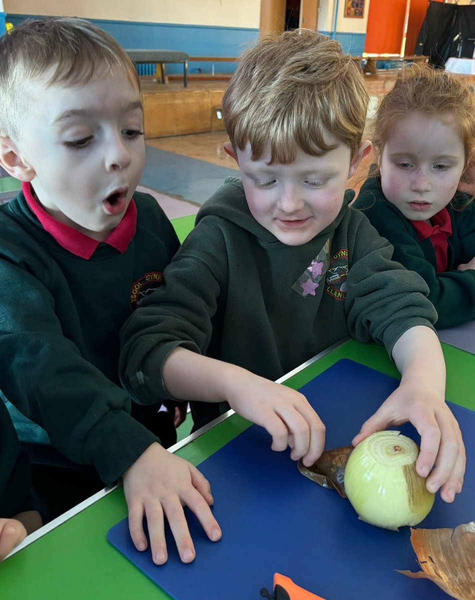 YsgLlanllechid's tweet photo. Gwneud cawl cennin. #leeksoup @CyngorGwynedd @LlC_Addysg @BizHour https://t.co/4JNIQZvIB3