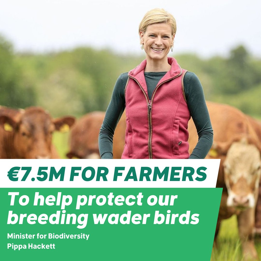 greenparty_ie's tweet photo. Ministers Pippa Hackett &amp; Malcolm Noonan announce €25 million for a huge project to protect breeding waders, split between farmers &amp; initiatives working directly to protect the habitats of some of incredible wildlife. More here; https://t.co/EMQdEAwMUX #GreenEffect #Biodiversity https://t.co/GD6PEcnKnv