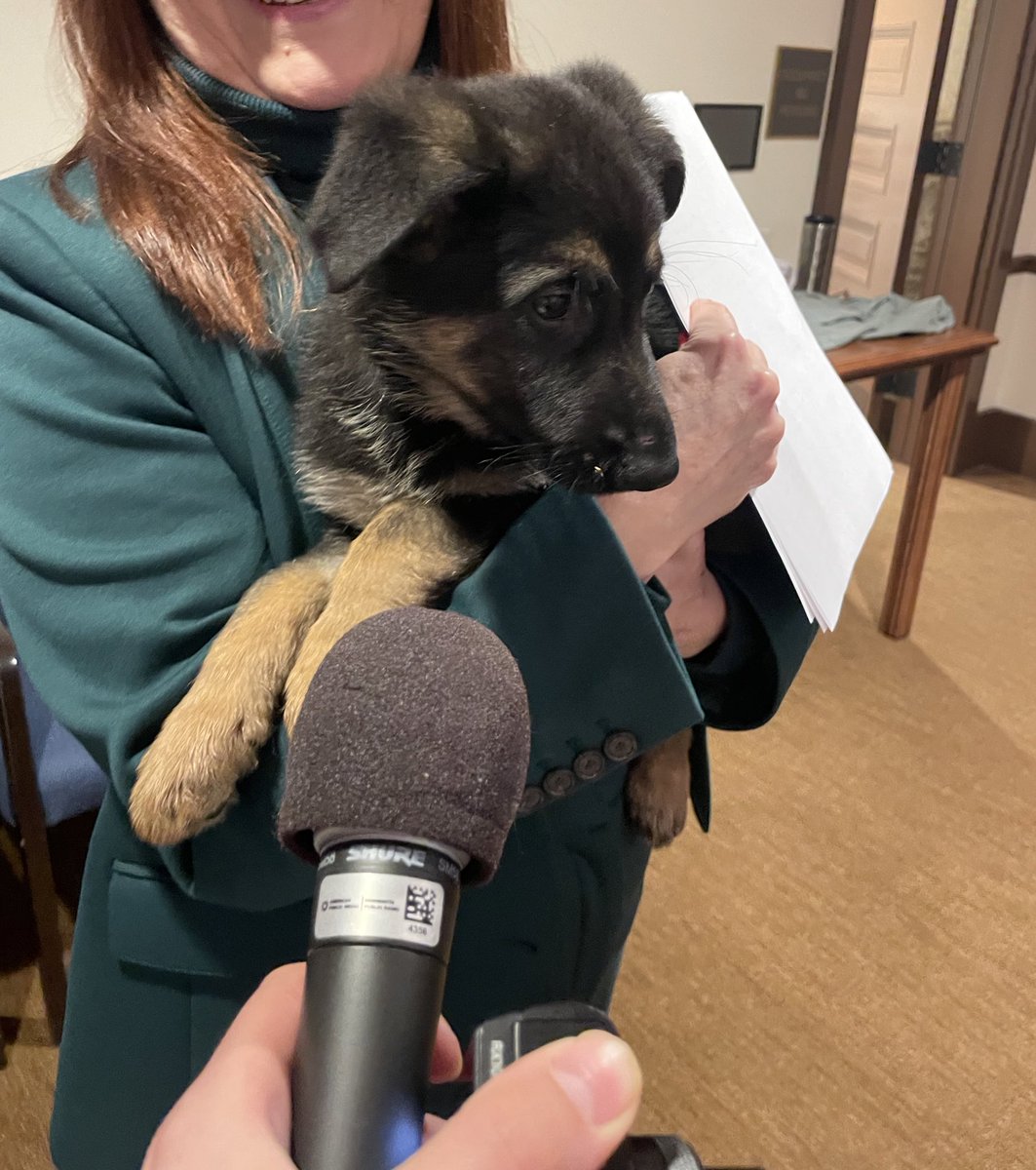 A pretty cute lobbyist trying to make her case at the Capitol. Cupcake’s request? More treats please! 🐶