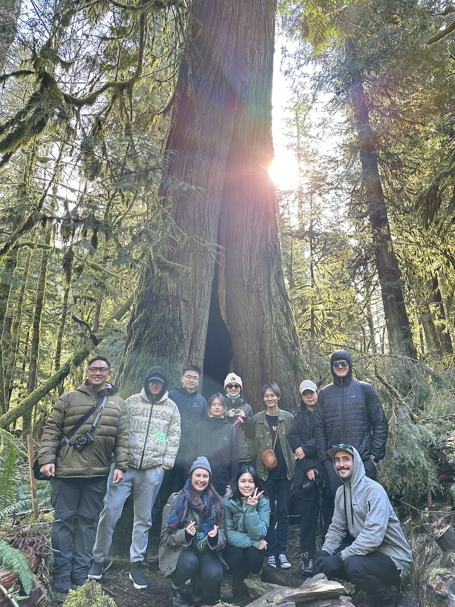 This week, #UBCForestry’s @MIF_UBC program is in Tofino! Highlights so far include a walk in Cathedral Grove, hiking the Big Tree Trail on the Tla-o-qui-aht Tribal Park and a conversation with @claybiotrust. Stay tuned for more from the trip! @TCHSunderland @peter_j_wood
