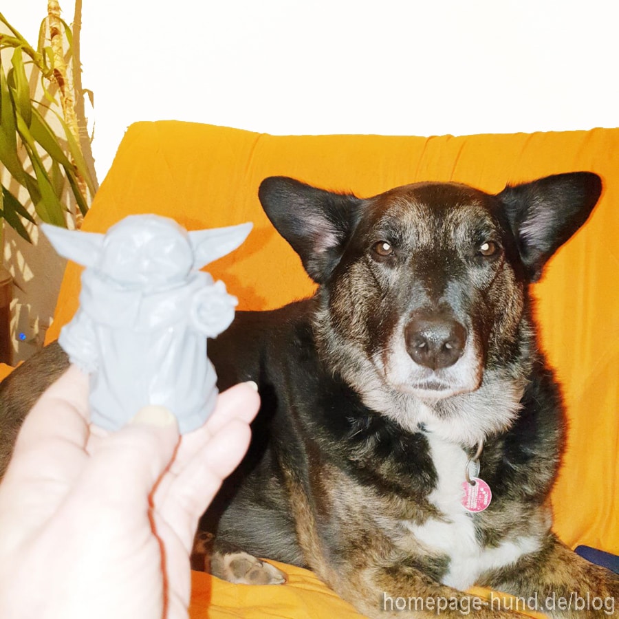 Etwaige Ähnlichkeiten sind rein zufällig.