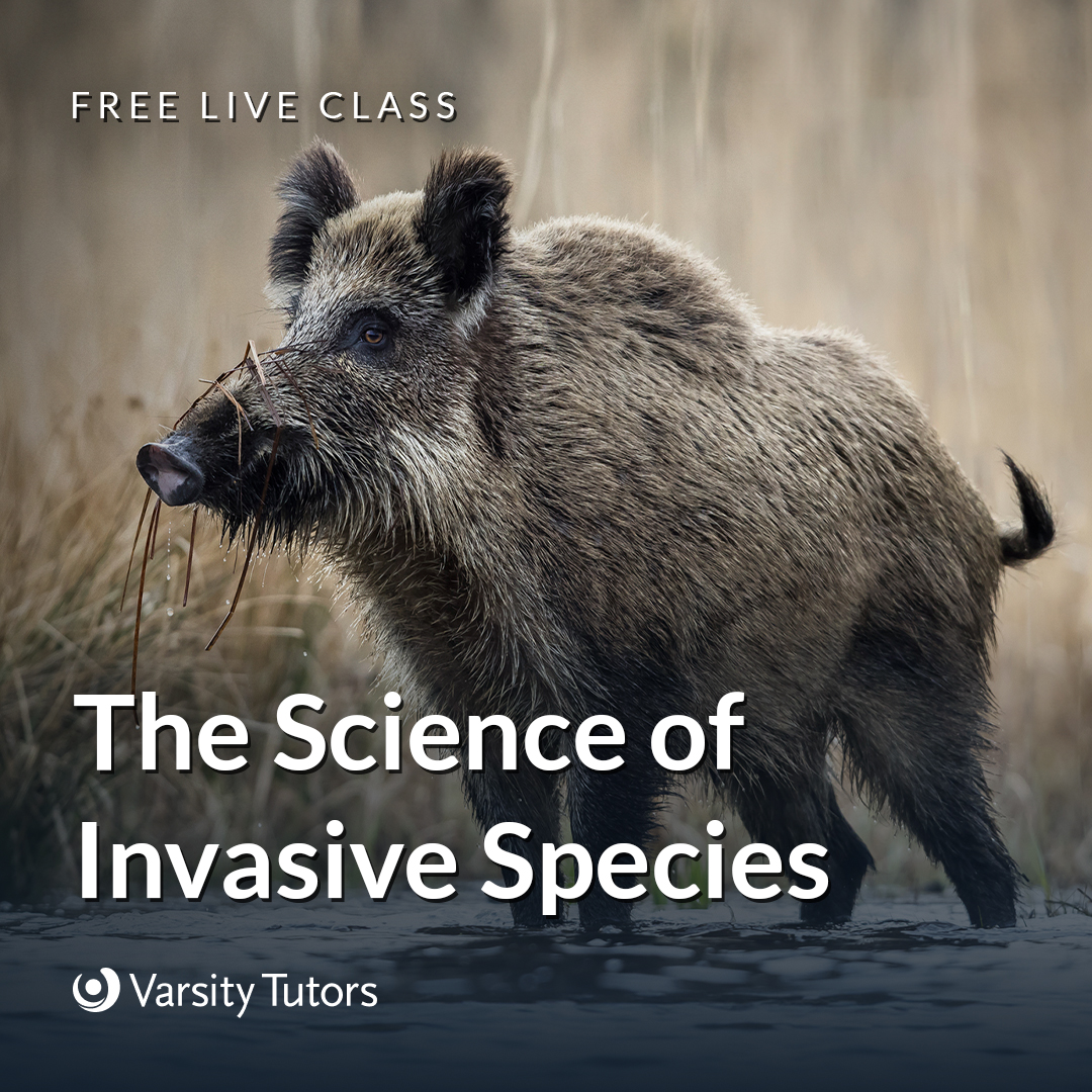 Join @WOWaquarium on 3/7 on a fascinating journey to discover the world of invasive species, focusing on wild hogs. Get ready to dive into the wild world of hogs and discover ways we can help keep our environment safe and sound. Register today! varsitytutors.com/courses/star-w…