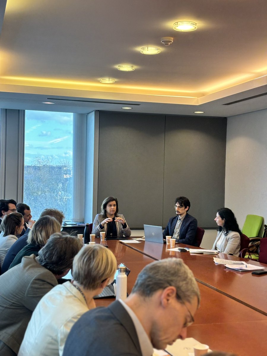 Sara Cerdas @saracerdas.bsky.social tweet media