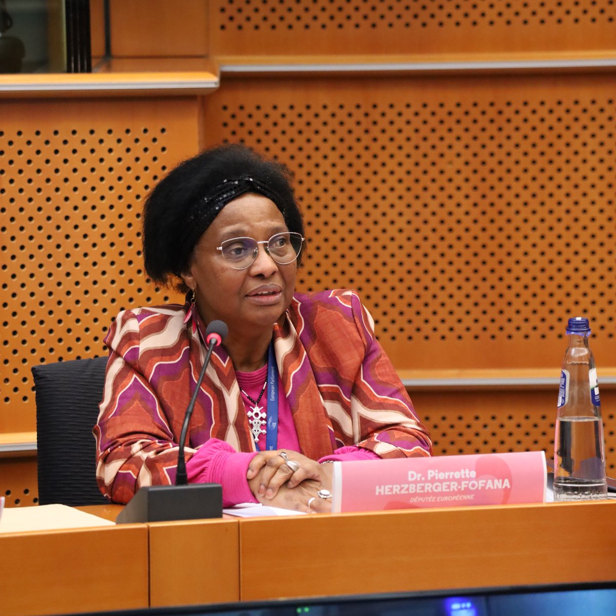 « Nous devons soutenir les réseaux fondés par des femmes noires comme <a href="/ProjetAmazones/">Fédération Amazones</a>, surtout en Europe. Elles sont seules et nous pouvons les aider. » - <a href="/MEP_PHF/">Dr. Pierrette Herzberger-Fofana</a>