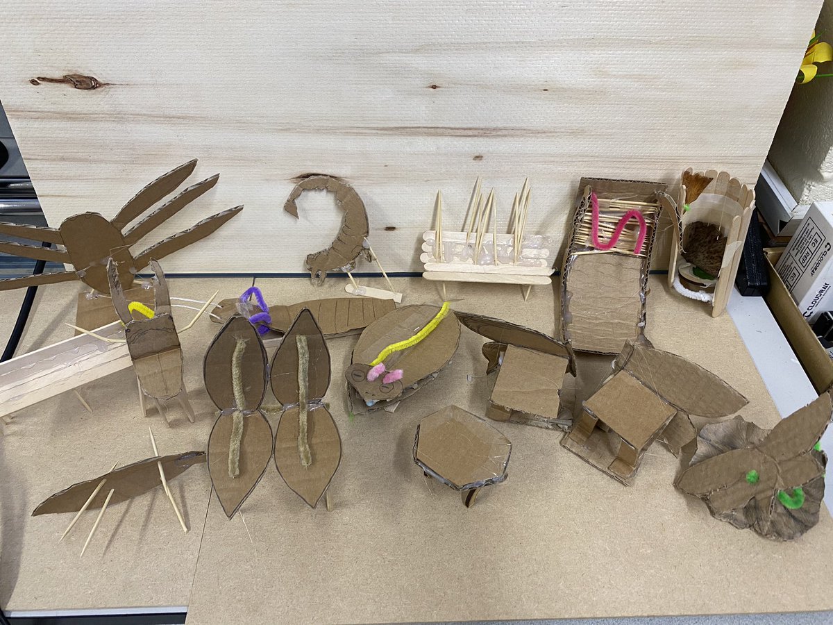 Did you guess? As part of our taster in #SJCDT our pupils were challenged with quick modelling of a seat based on insects to be used in the @NHM_London Look carefully and you may be able to see their inspiration 👀🦋🪲🪳🐜💭