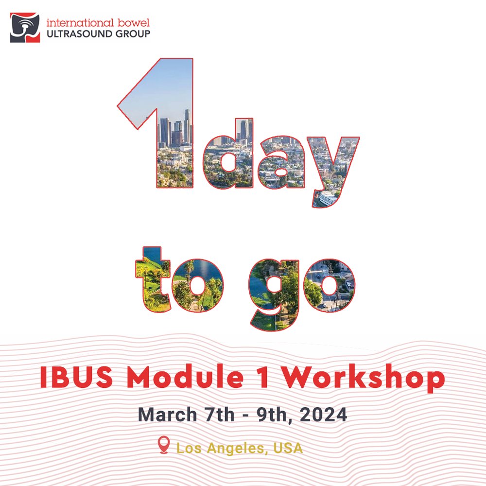 Tomorrow the IBUS Module 1 Workshops will start in Los Angeles! We are so excited to have participants from all around the world join us to start their IBUS educational journey. #IBUS #Module1 #Ultrasound #bowelultrasound