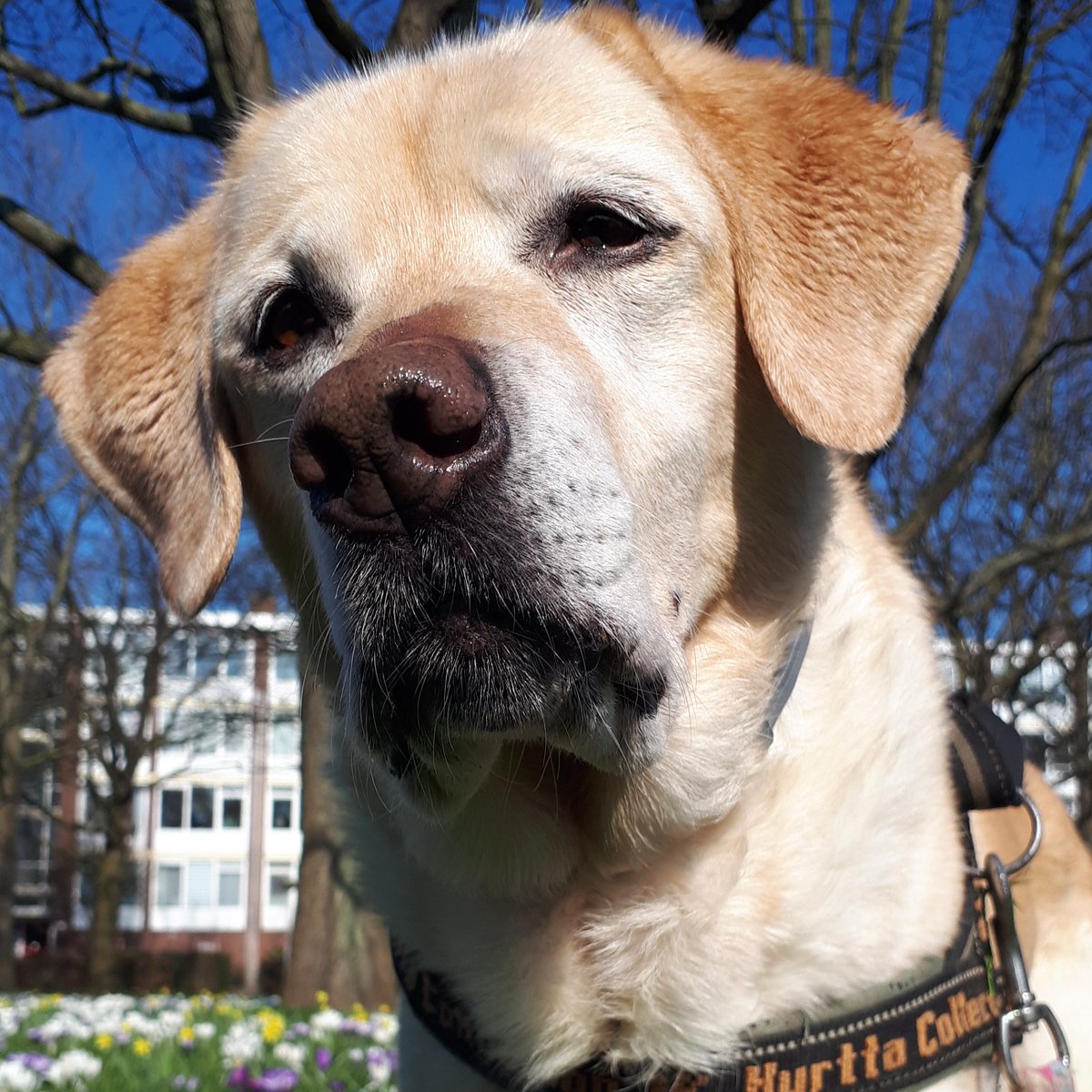 ImkeSingingintherain tweet media