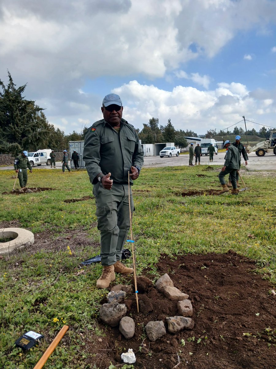 Fijibatt Peacekeepers enthusiastically participated in tree sapling plantation at Camp Ziouani in #Golan. #UNDOF Peacekeepers contribute to peace & environment together.