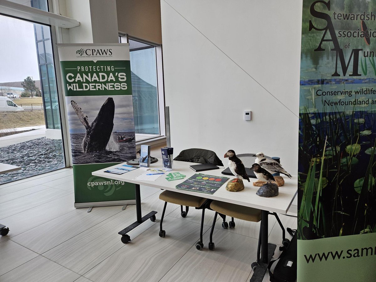 🌿 Exciting News! 🌿 CPAWS NL is thrilled to announce our booth at the Core Science Building, MUN today! 🌎 Come learn about our conservation efforts and how you can protect the environment. Don't miss out - swing by and say hello! #CPAWS #Conservation #MUN