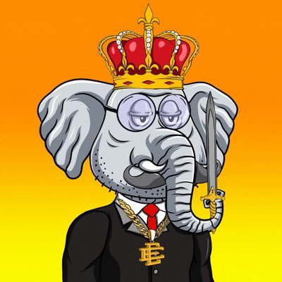 miraclecuzzy's tweet photo. 👑 This is the royal elephant! https://t.co/jsMroVrfY5