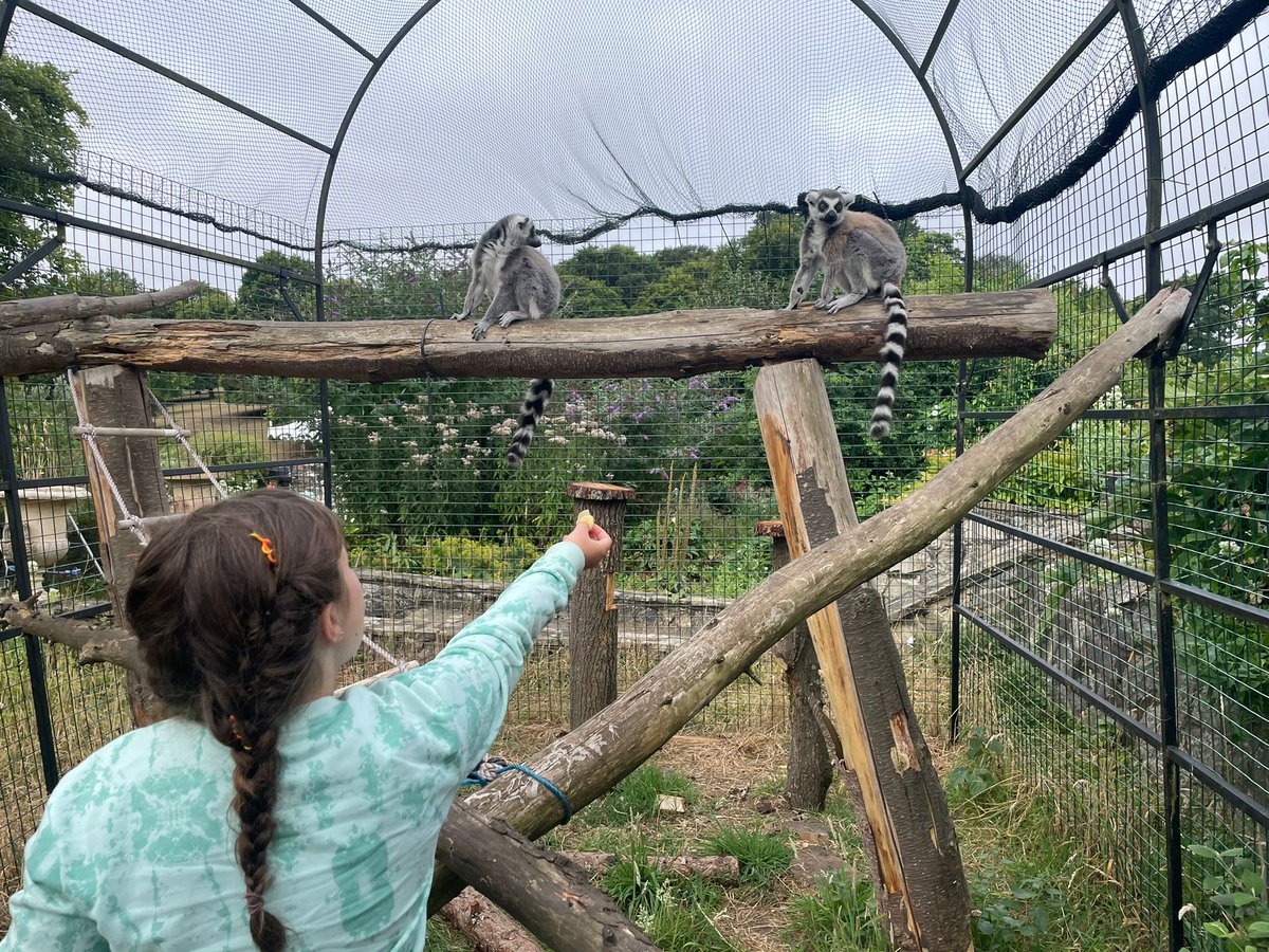 What did Big Brothers Big Sisters do in February? They enjoyed visiting the cinema, making clay models, and going to a wildlife park. Some tried new cuisines, and one pair met a robot dog at a science festival 🤖 🎉 Sounds fun? Get involved here - oxfordhub.org/bbbs