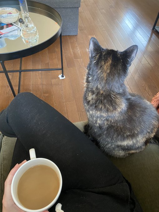 Watch big honkin caboose's leaked NSFW photo on TwXstars