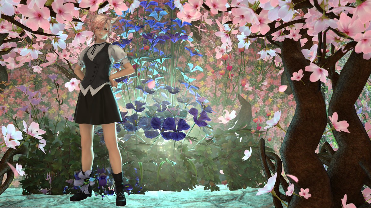 おはようございます！
『ゆずすたじお』さんでSSを撮ってきました。
桜の小路のようなセットになっていて、春満開って感じです。
奥の一角にある青いお花も良いアクセントになっています。
#ゆずすたじお 
#おはミコ #ミコッテ #本日のミコッテ #FF14