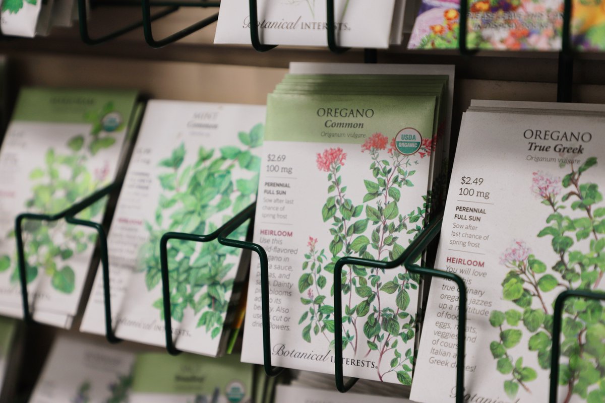 grangettos's tweet photo. Seed enthusiasts, we want to know your favorite success story! What's the most rewarding plant you've grown from seed in your garden? 🌱

Share with us in the Comments Below ⬇️  

.
.
.
#Grangettos #Gardening #SeedSuccess #GardenStories #SanDiego #Encinitas #Escondido #Fallbrook https://t.co/vZJjrGXul1