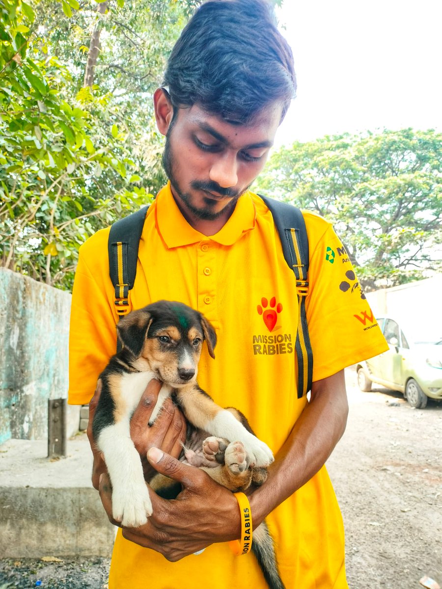 Mission Rabies tweet media