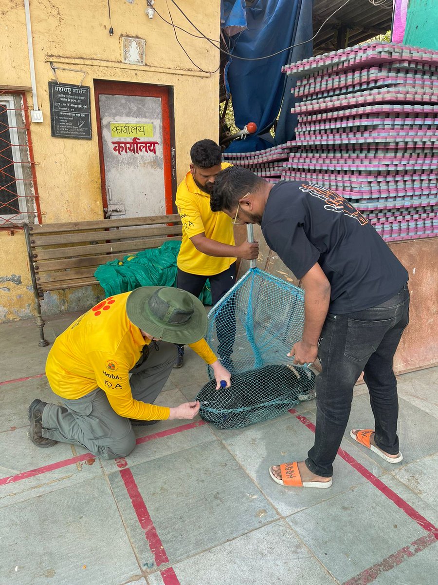 Mission Rabies tweet media