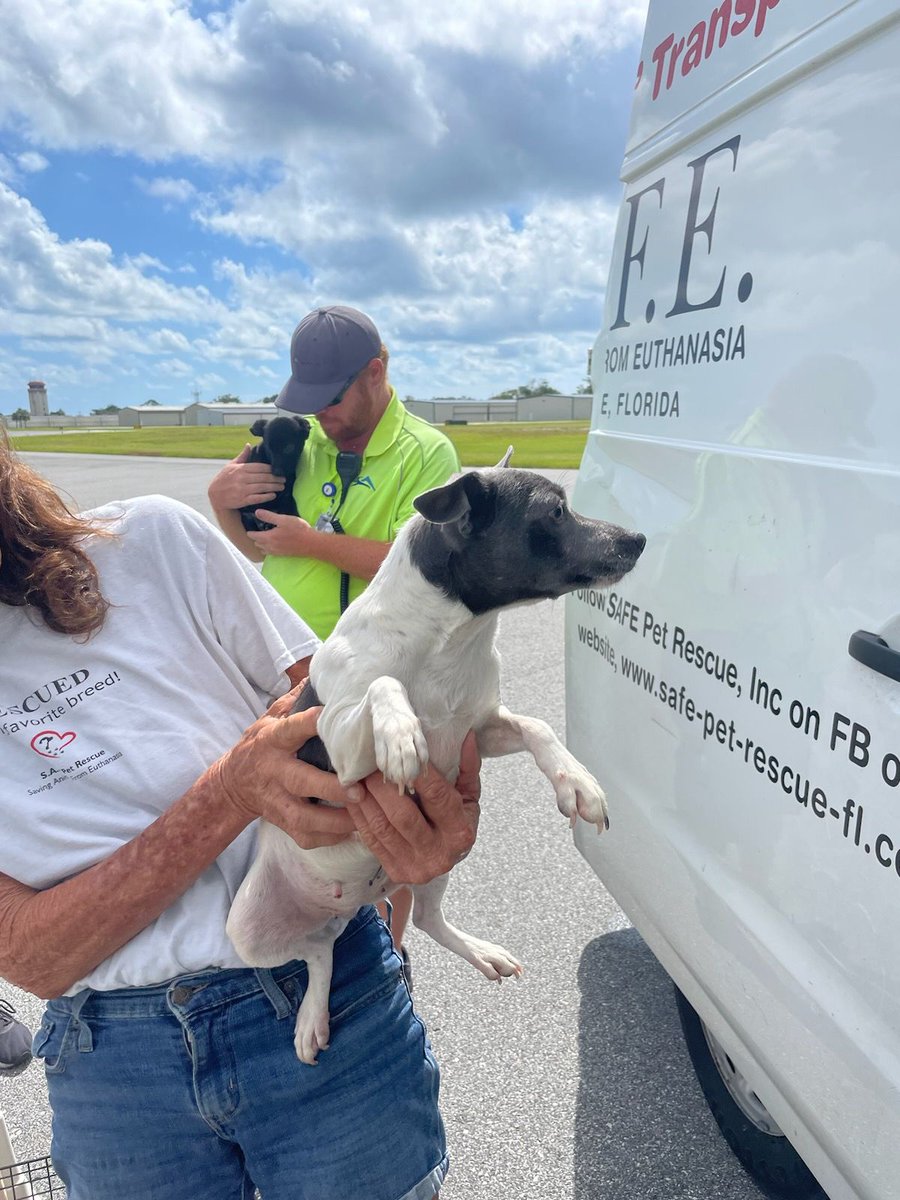 The freedom flight for 4 pups (Adonis, Clara, Marcy & Matilda) carries extra-special meaning. It was made in memory of animal rescue advocate, Robin Kantner-Nordan. Pilot Joe flew these 4 sweet dogs from GA to SAFE Rescue in FL.Huge thank you to everyone involved!💕✈️#pilotsnpaws