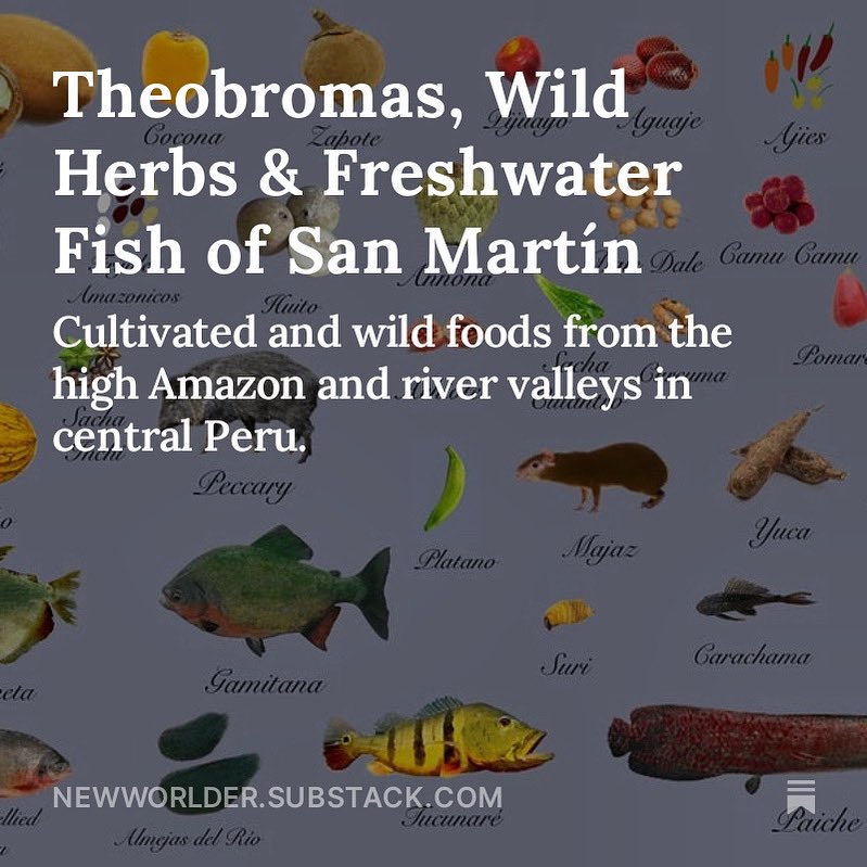 The latest edible ecosystem report @new_worlder explores Peru’s San Martín department, a place where the Amazon meets the jungle covered eastern foothills of the Andes. open.substack.com/pub/newworlder…