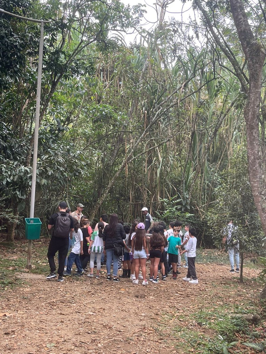 Secretaría de Medio Ambiente de Envigado tweet media