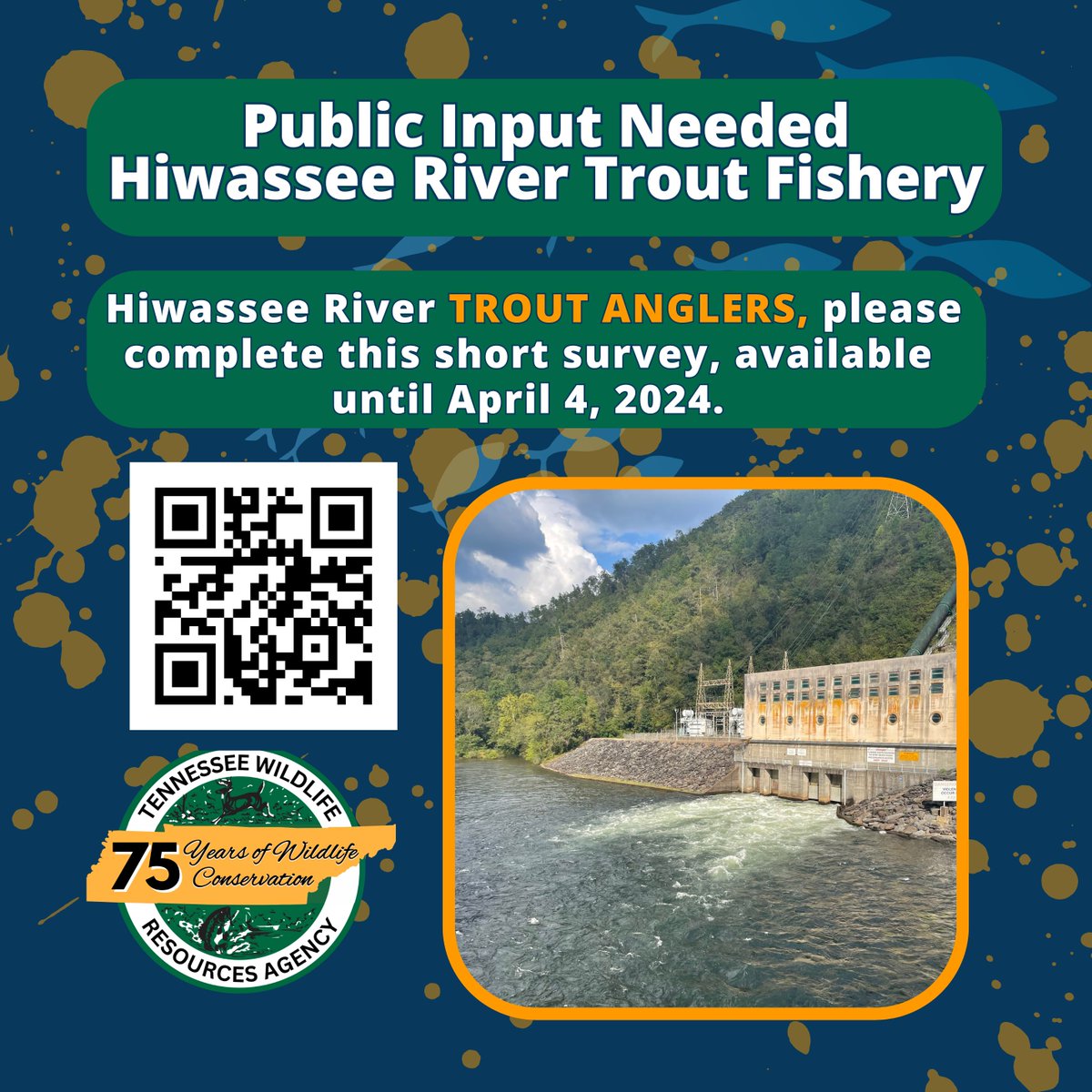 HIWASSEE #TROUT ANGLERS We're seeking comments regarding the management of the Hiwassee River Trout Fishery. Anglers are encouraged to watch the online version of a presentation and to take a brief survey. Visit arcg.is/0SzuLL. #tnwildlife #troutfishing