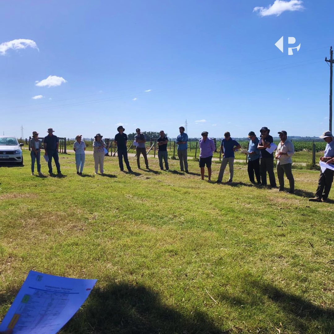 Pro_NutritionAg's tweet photo. Durante el día de ayer participamos de una Jornada de Campo organizada por @regadoresuy en el Establecimiento de nuestro cliente de Asesoramiento Integral: Reina Juana. 
👇🏽👇🏽👇🏽 https://t.co/O1RfbsZkBp