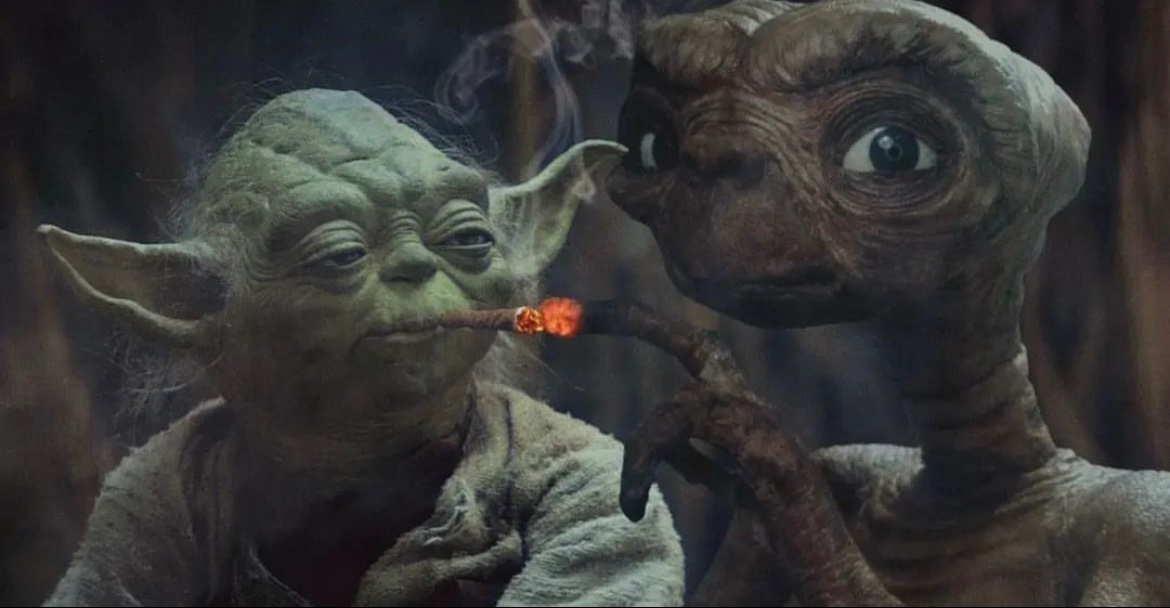 Cheeks Avery 👩👧🏠 tweet media