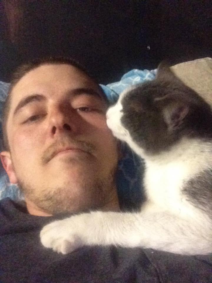 mousie_pubgm's tweet image. #kittehs lol